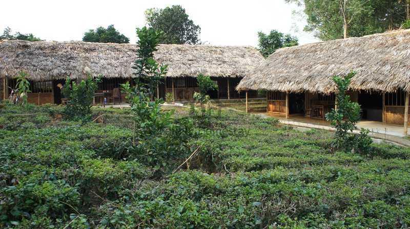 Family Homestay Ба Ви Стая снимка