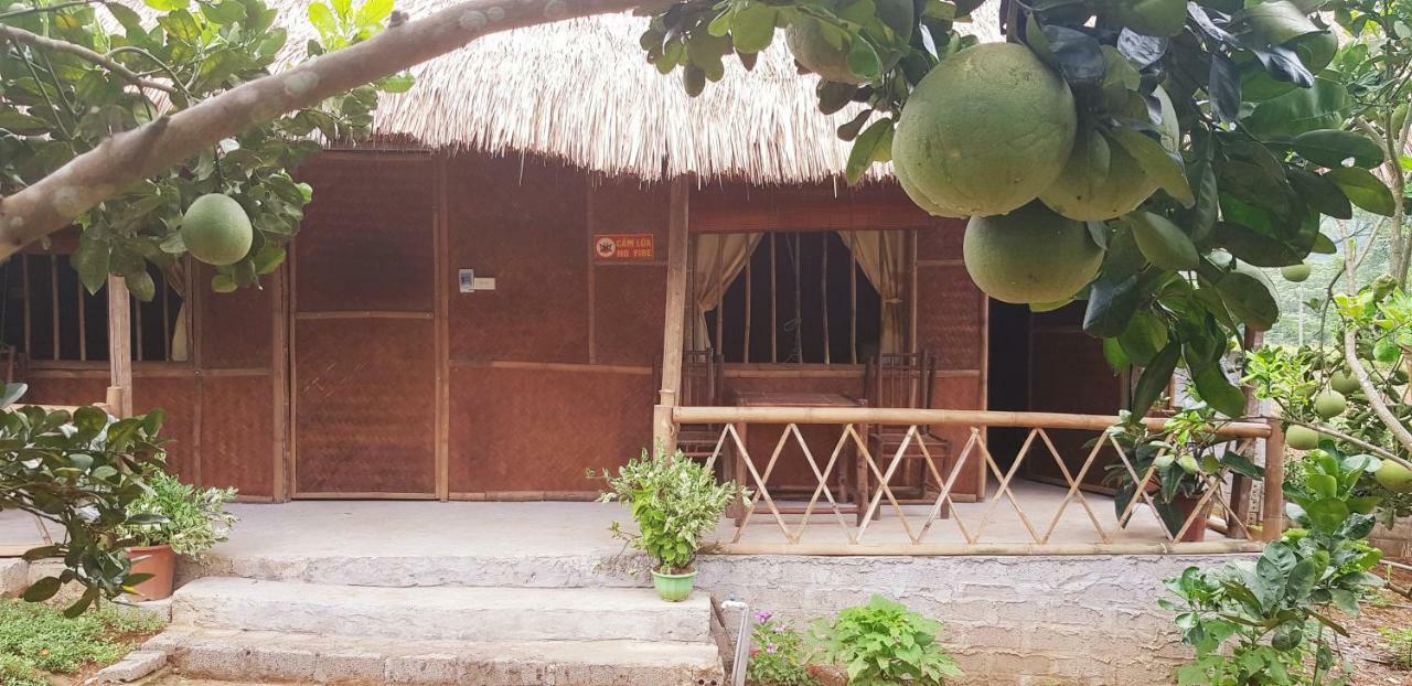 Family Homestay Ба Ви Екстериор снимка