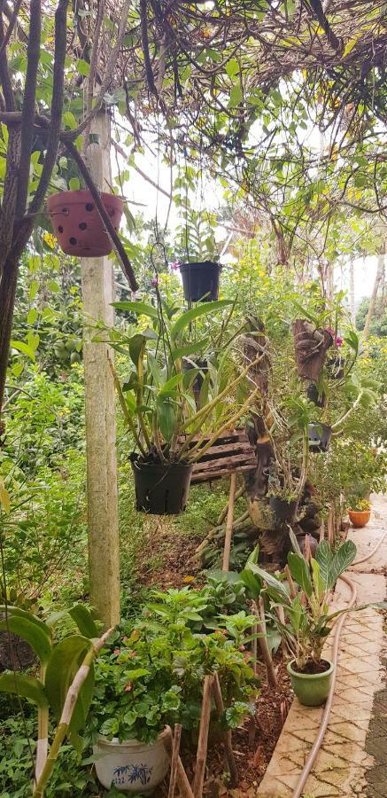 Family Homestay Ба Ви Екстериор снимка