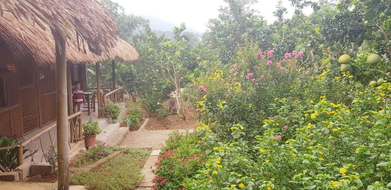 Family Homestay Ба Ви Екстериор снимка