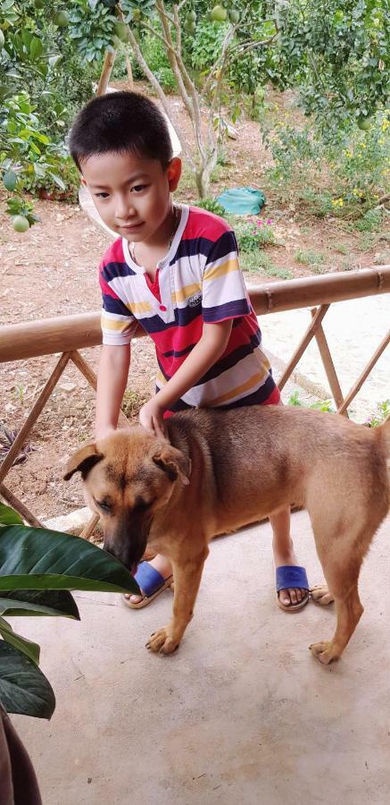Family Homestay Ба Ви Екстериор снимка